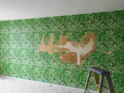 best painters Salinas